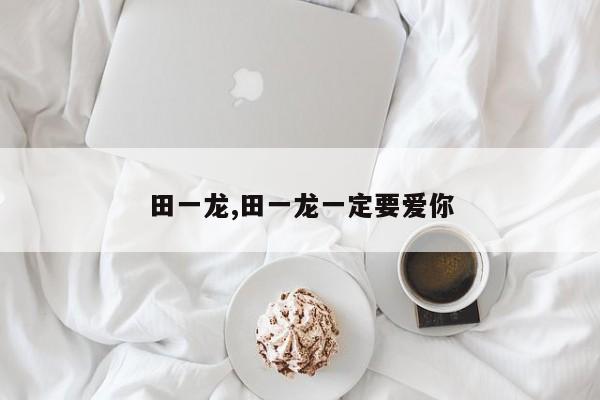 田一龙,田一龙一定要爱你