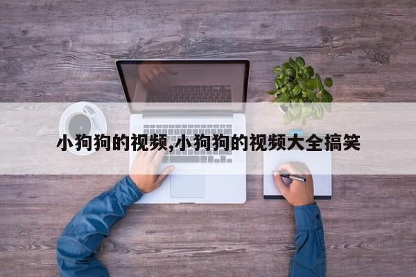 小狗狗的视频,小狗狗的视频大全搞笑