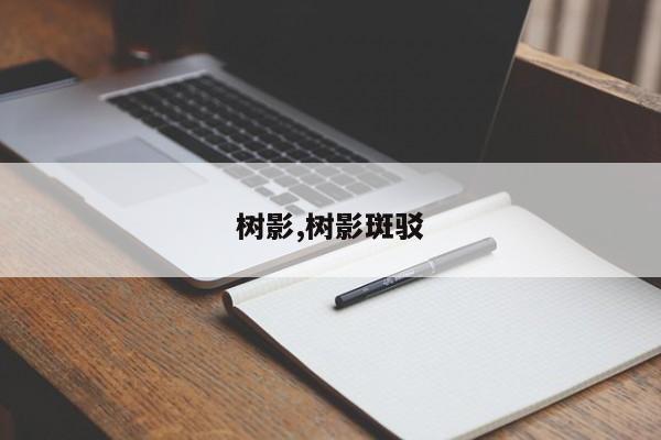 树影,树影斑驳