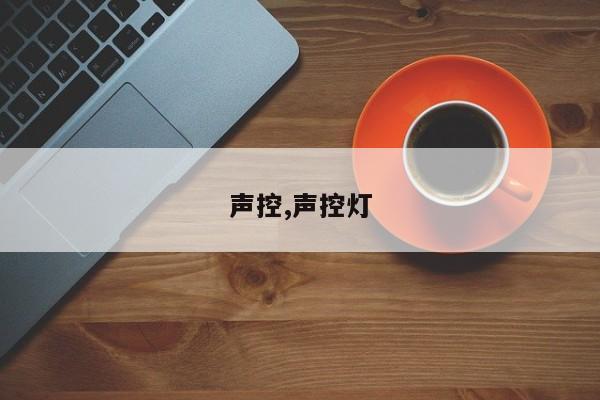 声控,声控灯