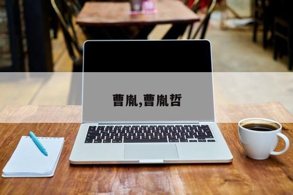 曹胤,曹胤哲