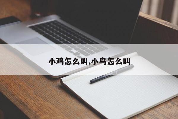 小鸡怎么叫,小鸟怎么叫