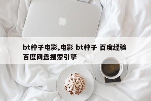 bt种子电影,电影 bt种子 百度经验 百度网盘搜索引擎