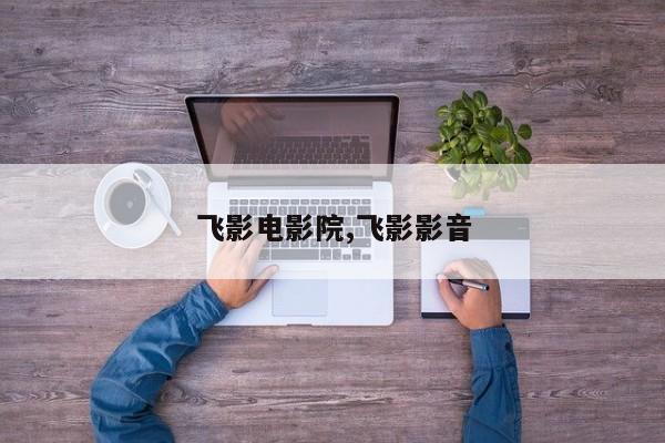 飞影电影院,飞影影音