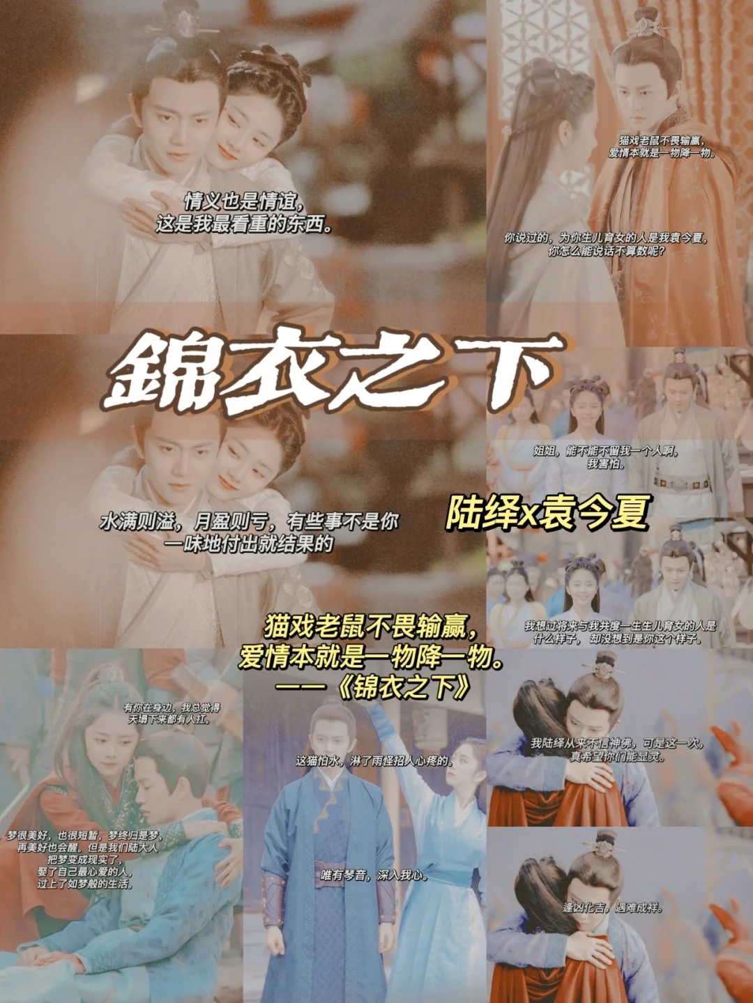 锦衣之下剧情分集介绍,锦衣之下剧情介绍 大结局