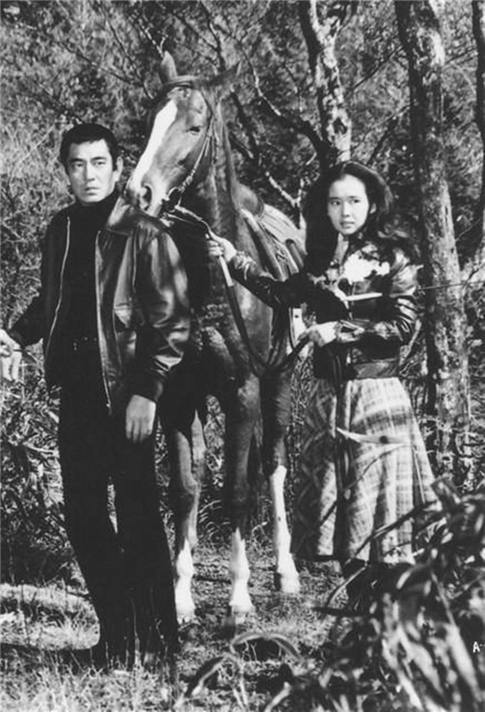 追捕剧情介绍,追捕剧情介绍电视猫 追捕剧情介绍,追捕剧情介绍电视猫