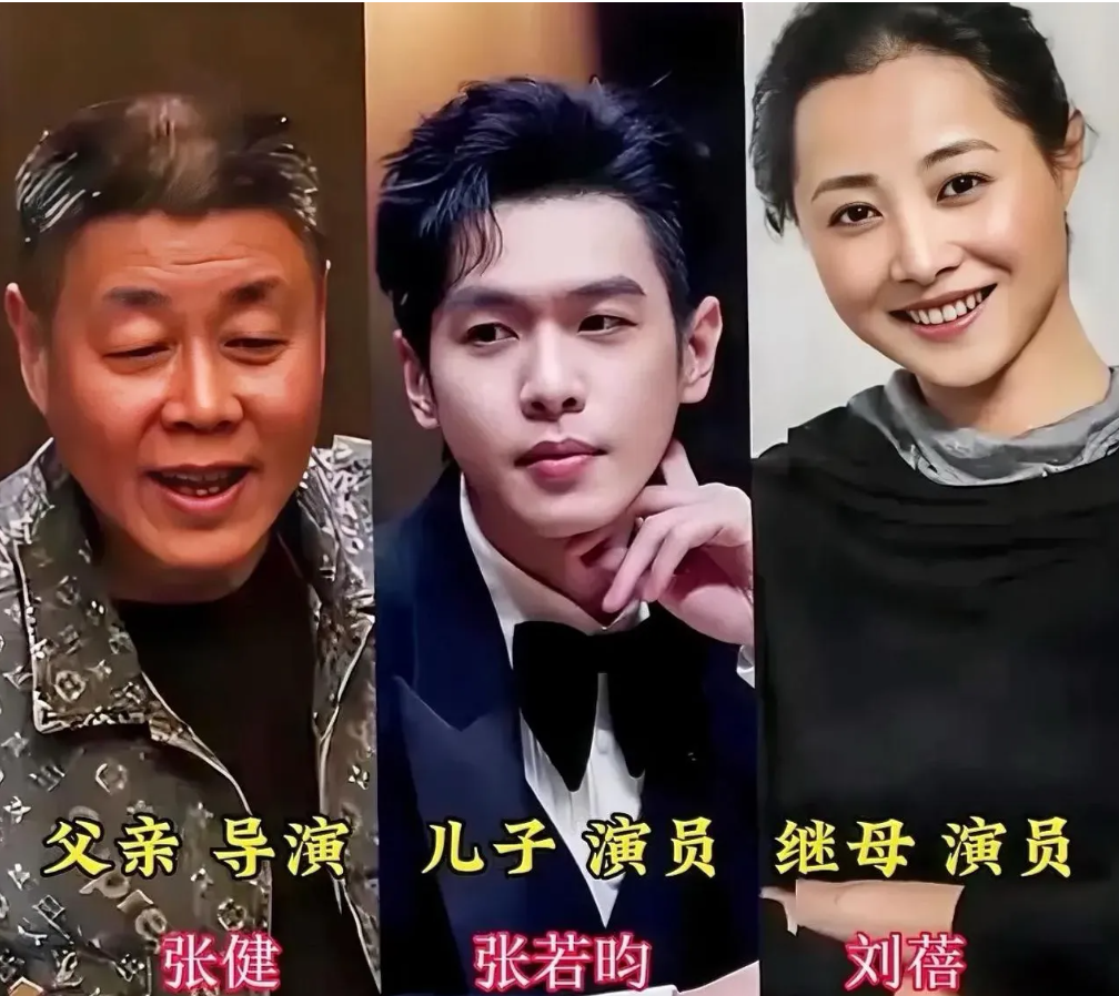 我的亲爹和后爸剧情介绍,我的亲爹和后爸 电视剧演员表