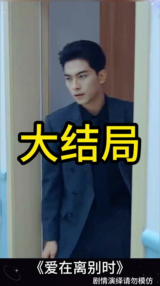 爱在离别时剧情介绍,爱在离别时电视剧大结局