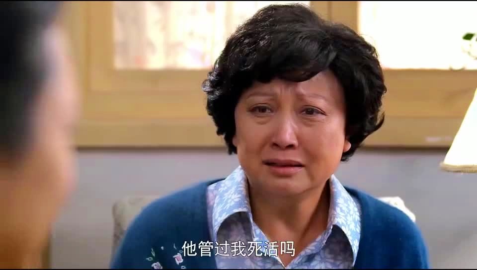 满仓进城剧情介绍,电视剧满仓进城剧情介绍结局