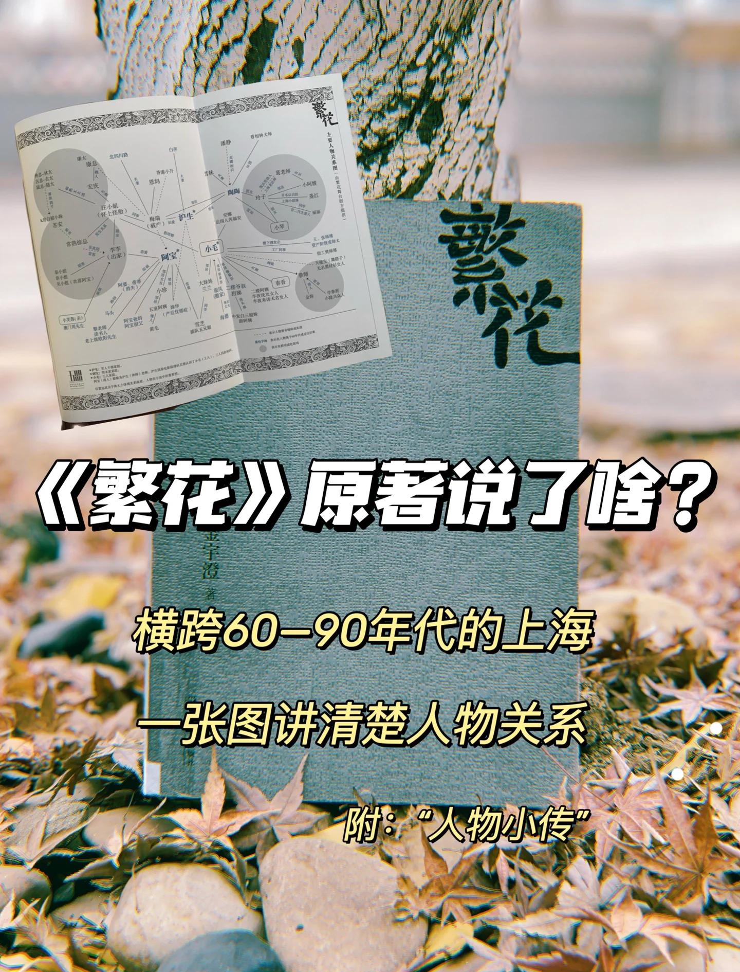 繁花分集剧情介绍,繁花电视剧角色介绍