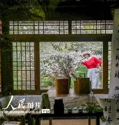 月影风荷剧情介绍,电视剧月影风荷全体演员