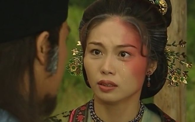 真假东宫剧情介绍,真假东宫演员介绍