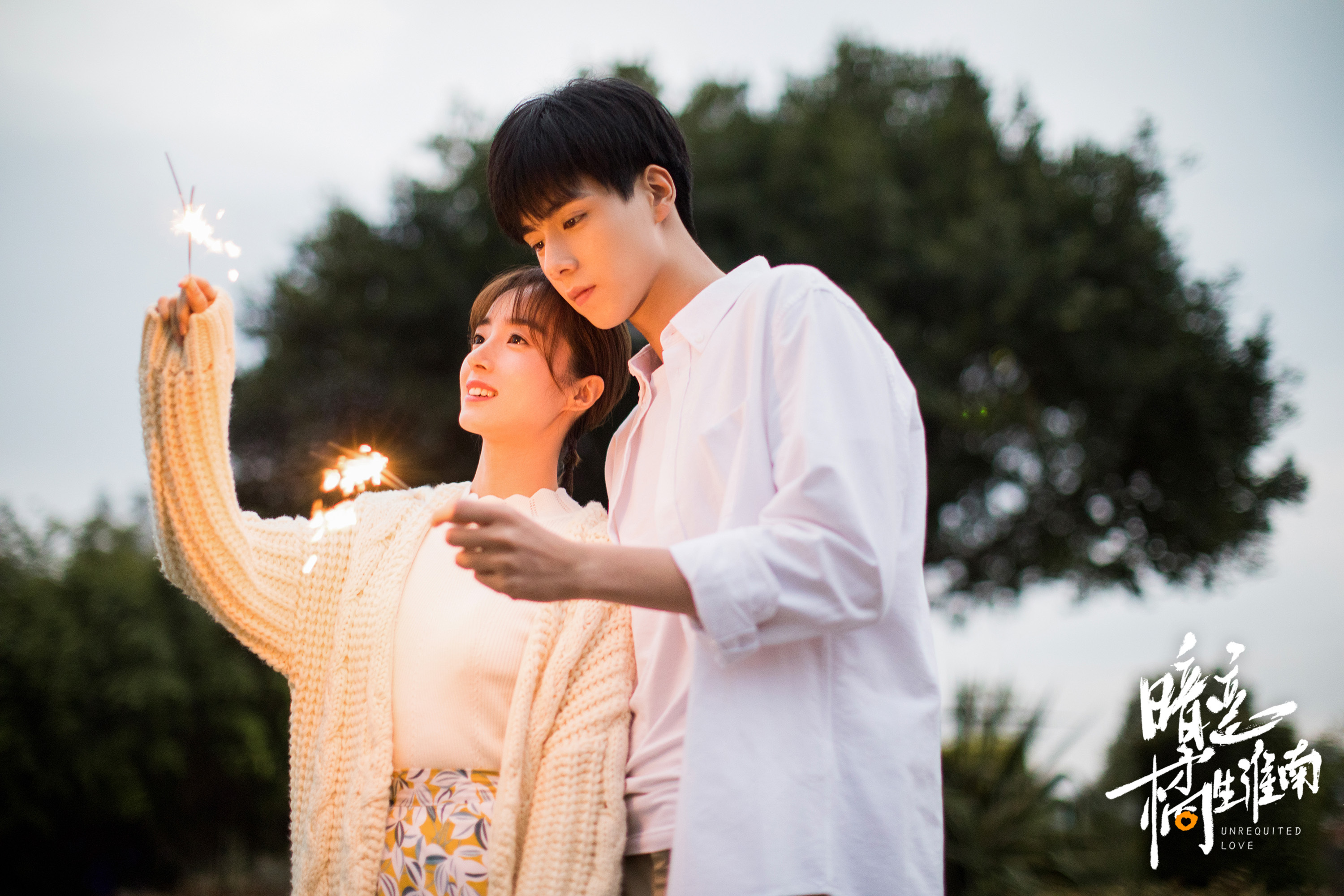 暗恋橘生淮南剧情介绍,暗恋橘生淮南全集简介