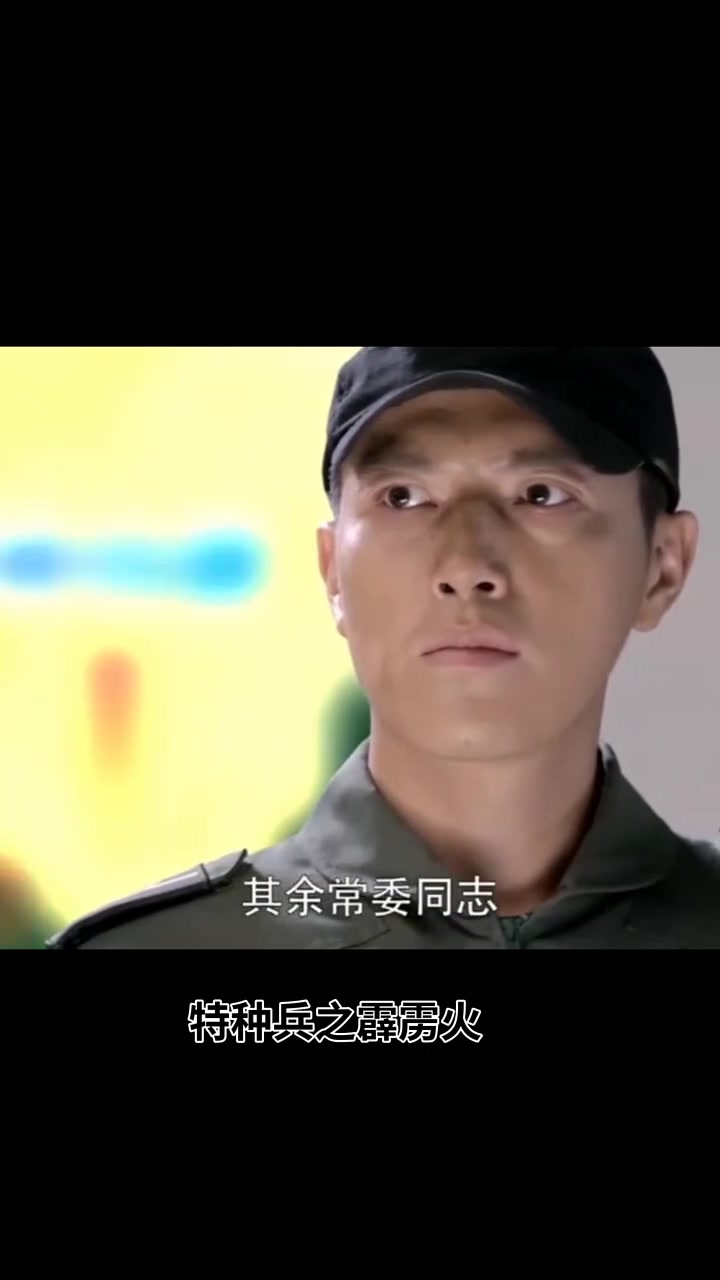 特种兵之霹雳火剧情介绍,特种兵之霹雳火内容简介