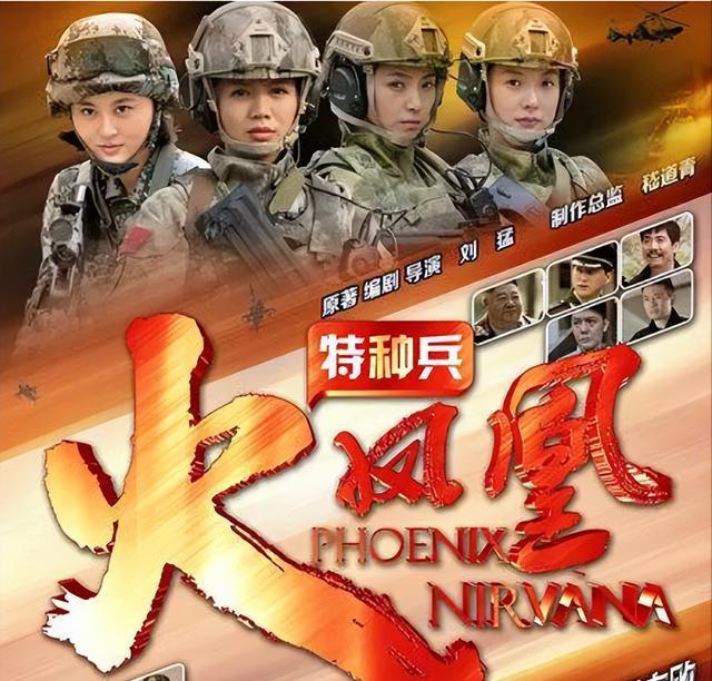 特种兵之霹雳火剧情介绍,特种兵之霹雳火内容简介