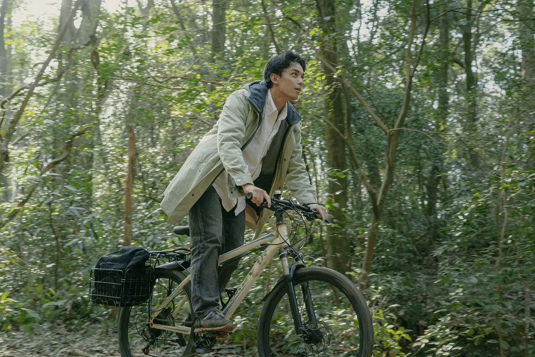 草木人间剧情介绍,草木人间剧情介绍分集