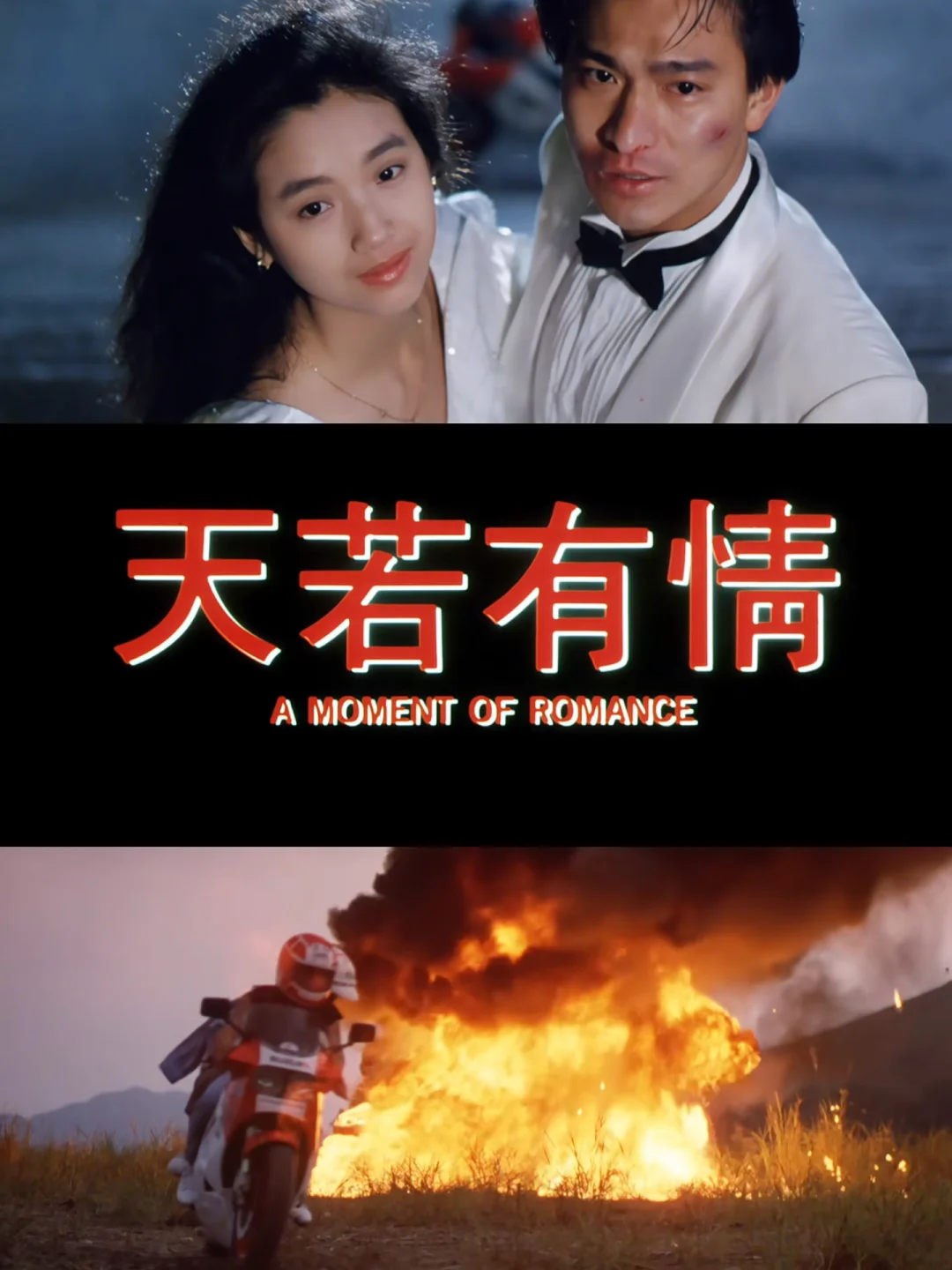 电影斗鱼,电影斗鱼每个人结局 电影斗鱼,电影斗鱼每个人结局