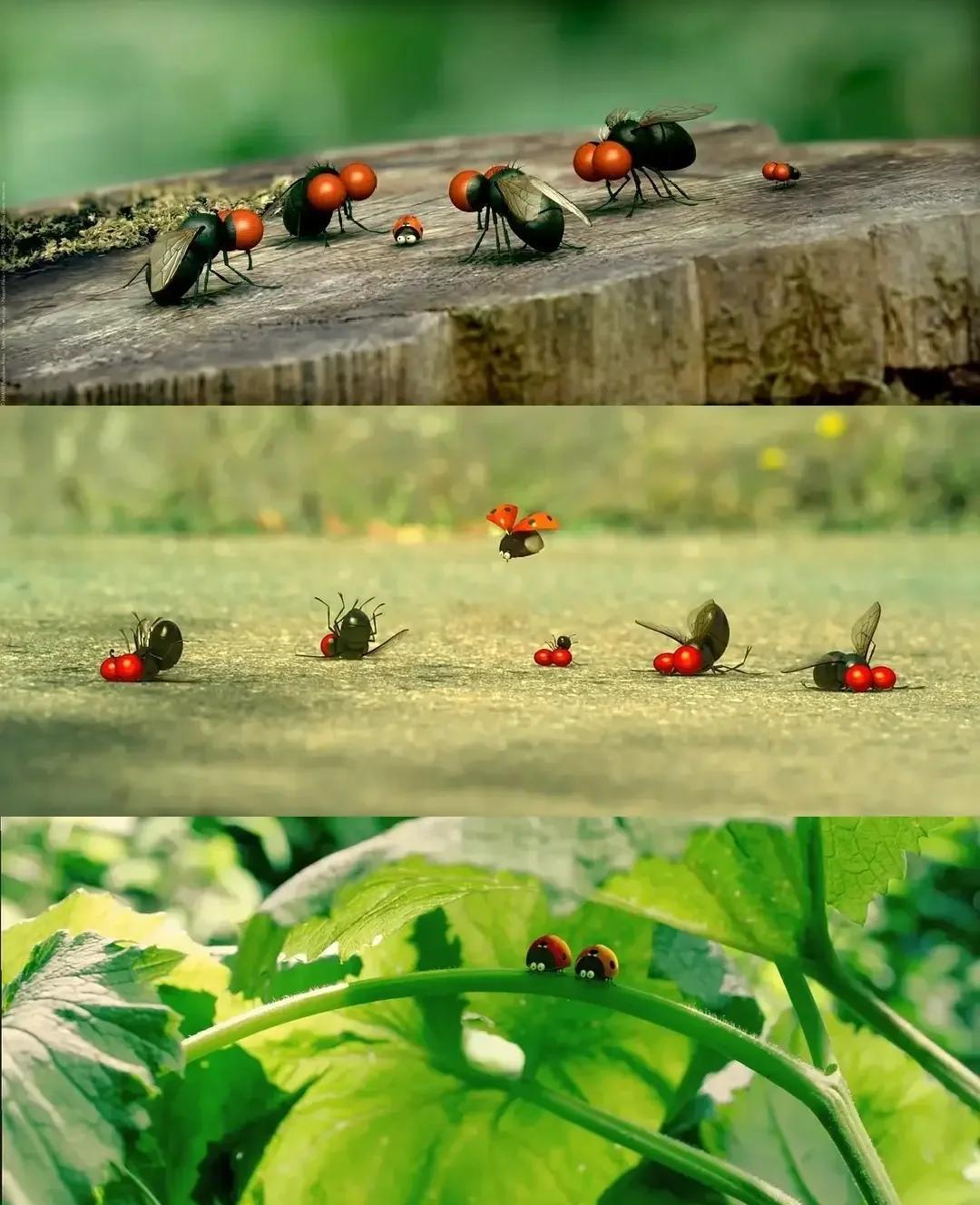 昆虫总动员电影,昆虫总动员电影全集