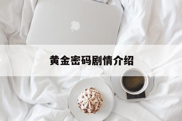 黄金密码剧情介绍,黄金密码 电视剧结局