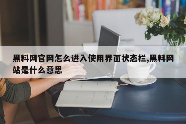 黑料网官网怎么进入使用界面状态栏,黑料网站是什么意思